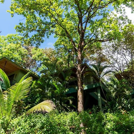 Arbol Verde Villas โอเฆชาล ภายนอก รูปภาพ