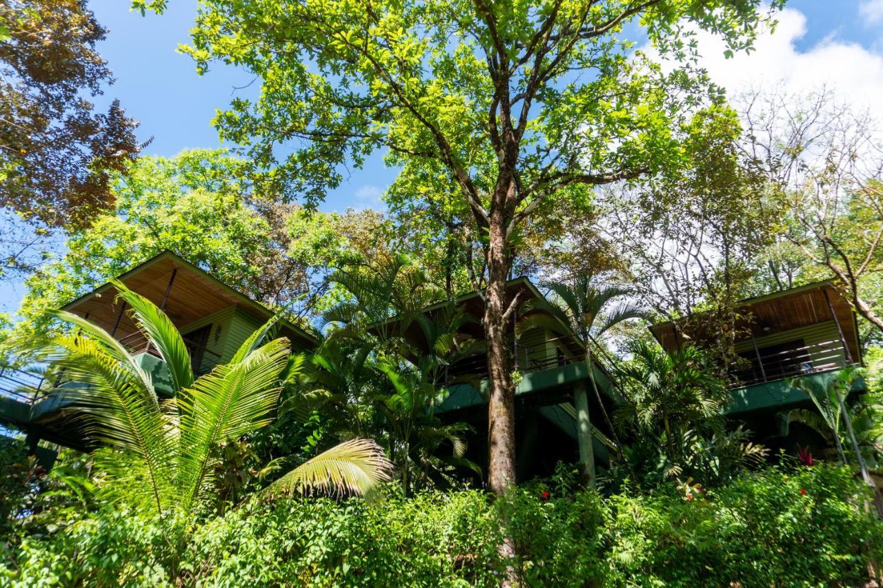 Arbol Verde Villas โอเฆชาล ภายนอก รูปภาพ