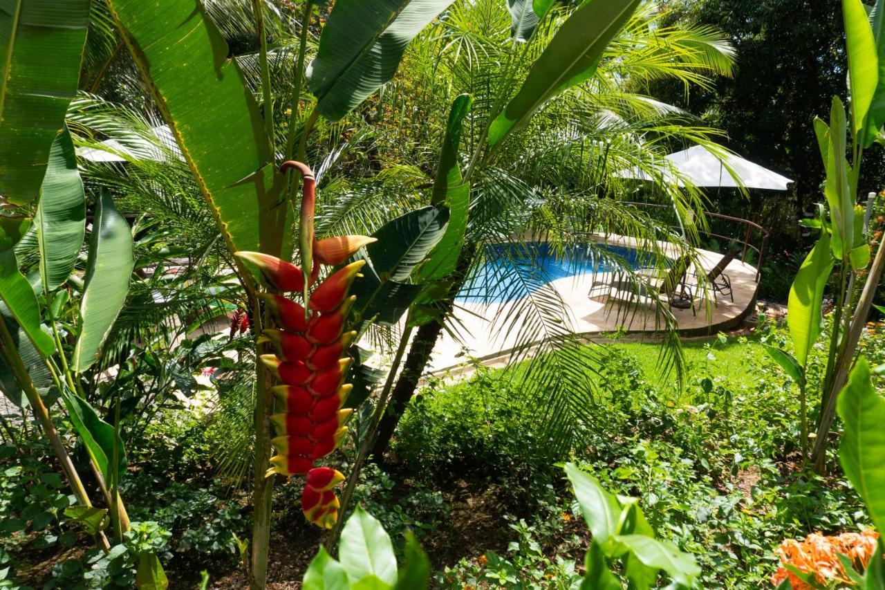 Arbol Verde Villas โอเฆชาล ภายนอก รูปภาพ