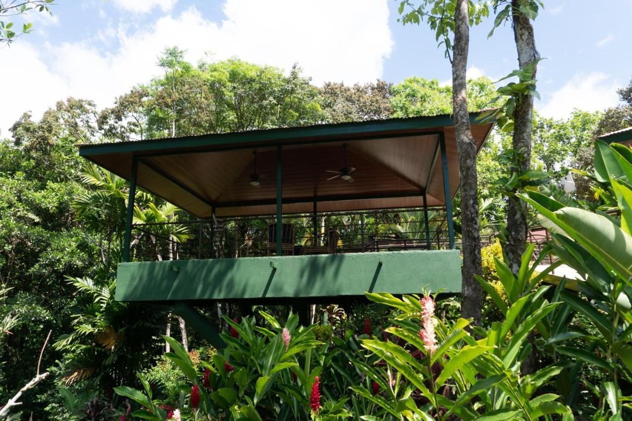 Arbol Verde Villas โอเฆชาล ภายนอก รูปภาพ